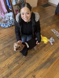 Lost Male Dog last seen Near N Rutherford ave, Chicago, IL 60634
