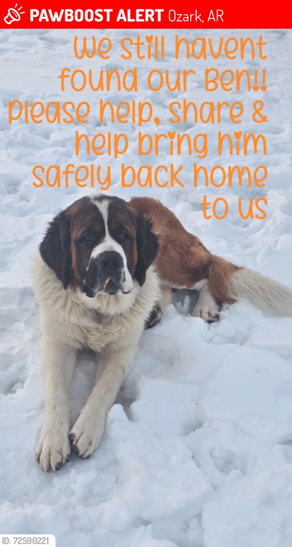 Lost Male Dog last seen Hwy 23 south  x. Brown Ln. , Ozark, AR 72949