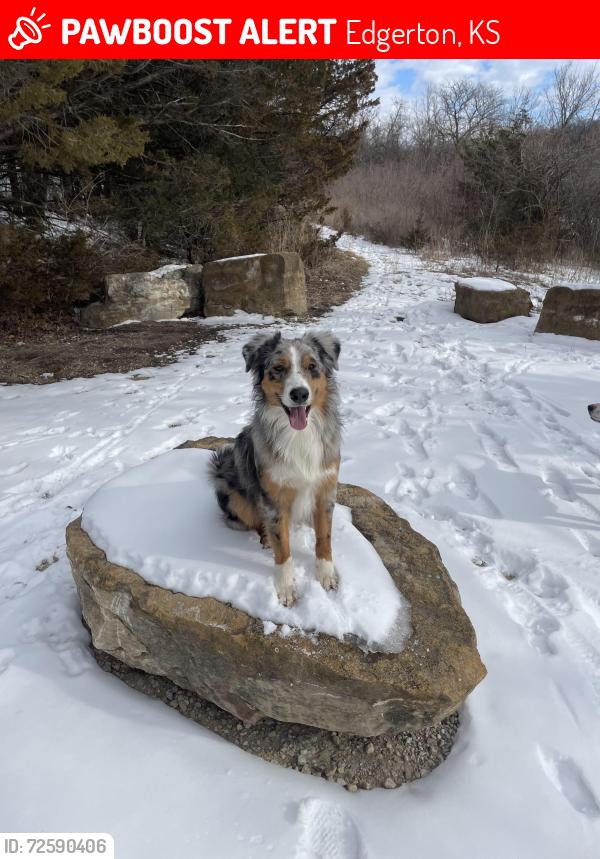 Lost Male Dog last seen Near W 215th St Edgerton, KS  66021 United States, Edgerton, KS 66021