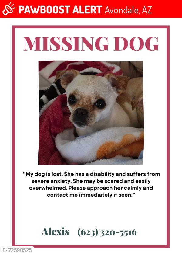 Lost Female Dog last seen 117th Grant st , Avondale, AZ 85323