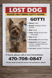 Lost Male Dog last seen Jumpers Trail & Estonian , South Fulton, GA 30213