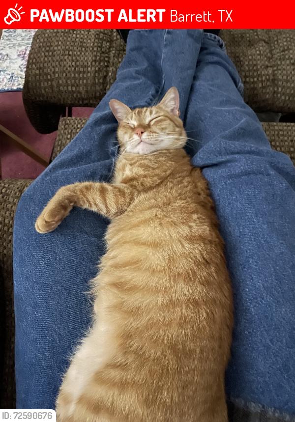 Lost Male Cat last seen Near 1942, Barrett, TX 77562