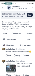 Lost Unknown Dog last seen Lehigh Kenyon, Tucson, AZ 85710