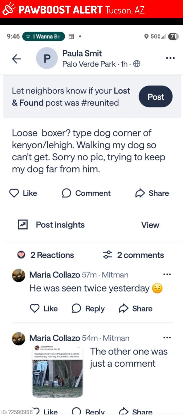 Lost Unknown Dog last seen Lehigh Kenyon, Tucson, AZ 85710