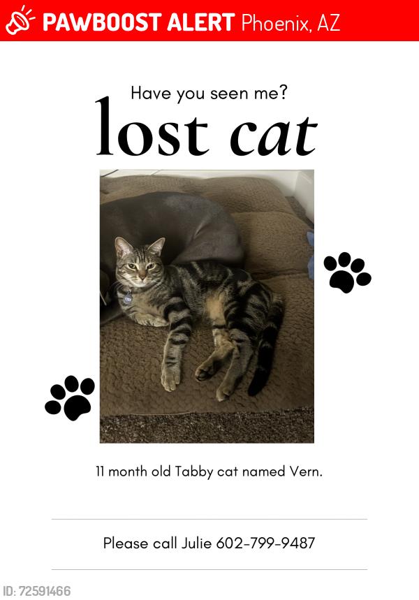 Lost Male Cat last seen 10th St & Carefree, Phoenix, AZ 85020