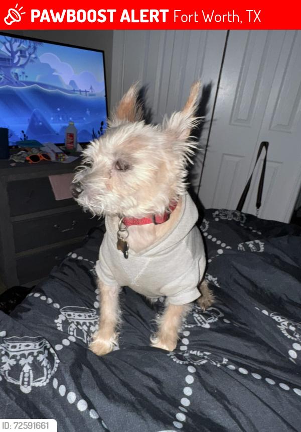 Lost Male Dog last seen Park , Fort Worth, TX 76105
