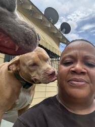 Lost Female Dog last seen Near Washington Ave. Baton Rouge Louisiana 70902, Baton Rouge, LA 70802
