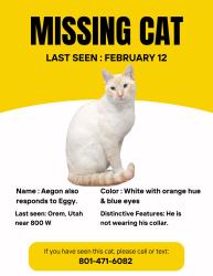 Lost Male Cat last seen Near W, Orem, Orem, UT 84058
