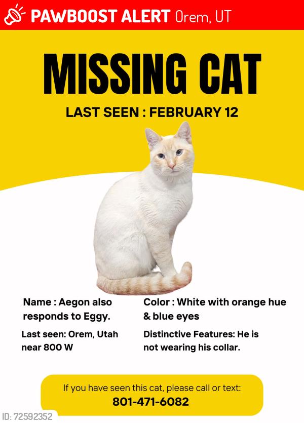 Lost Male Cat last seen Near W, Orem, Orem, UT 84058