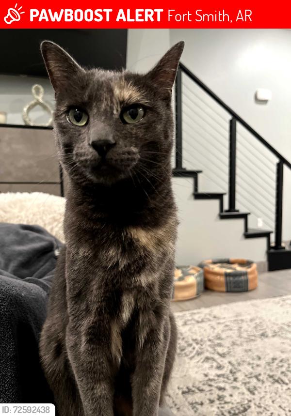 Lost Female Cat last seen Near S 66th St, Fort Smith, AR 72903