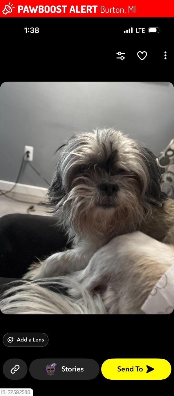 Lost Male Dog last seen  Depot in Burton , Burton, MI 48509