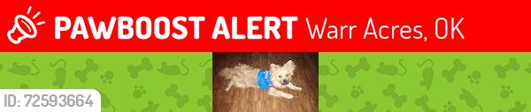 Lost Male Dog last seen By mechanic shop, Warr Acres, OK 73122