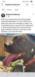 Lost Female Dog last seen Highway 274 and Lamont Road , Fountain, FL 32438