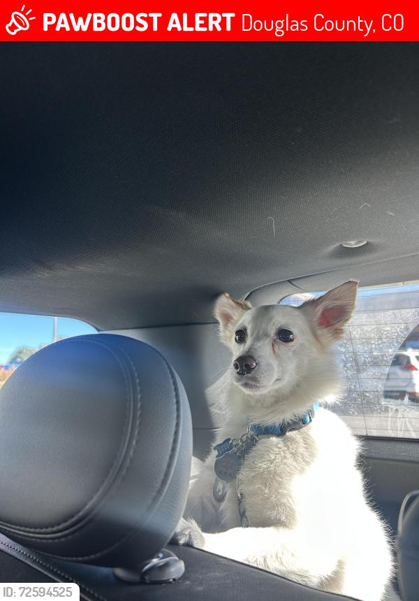 Lost Male Dog last seen Daley Circle, Douglas County, CO 80134