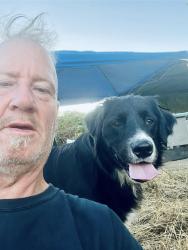 Lost Male Dog last seen 21st and Fawcett/Tacoma Ave, Tacoma, WA 98402