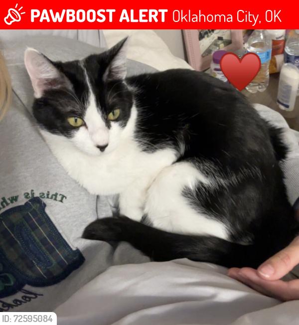Lost Female Cat last seen Hefner , Oklahoma City, OK 73114