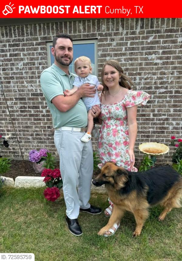 Lost Female Dog last seen Behind Indian Dhaba , Cumby, TX 75433