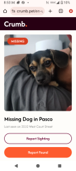 Lost Female Dog last seen Court Street, Pasco, WA 99301