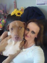 Lost Female Dog last seen Main st , Searcy, AR 72145
