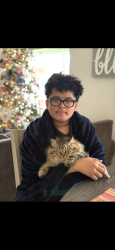 Lost Male Cat last seen Melrose dr, North Highlands, CA 95660