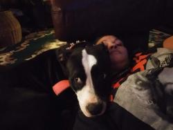 Lost Female Dog last seen Sibley street, Saxon, SC 29378