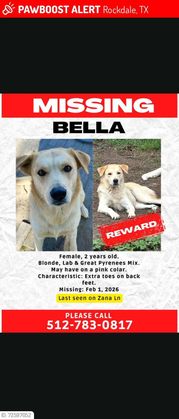 Lost Female Dog last seen Zana lane Rockdale texas , Rockdale, TX 76567