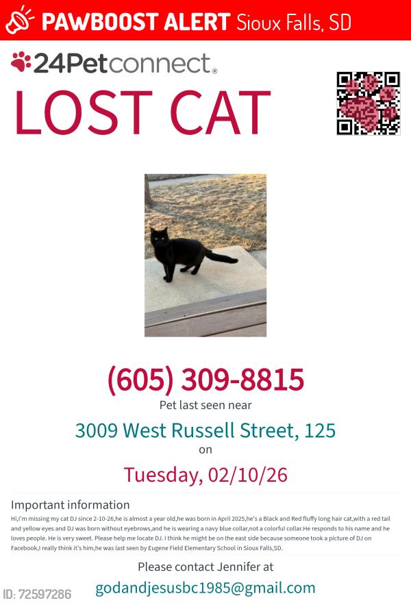 Lost Male Cat last seen E.12th St. (Sioux Falls), Sioux Falls, SD 57103