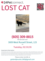 Lost Male Cat last seen E.12th St. (Sioux Falls), Sioux Falls, SD 57103
