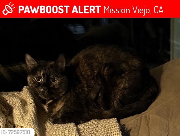 Lost Female Cat last seen Via Roble/ Via Nuez, Mission Viejo, CA 92691