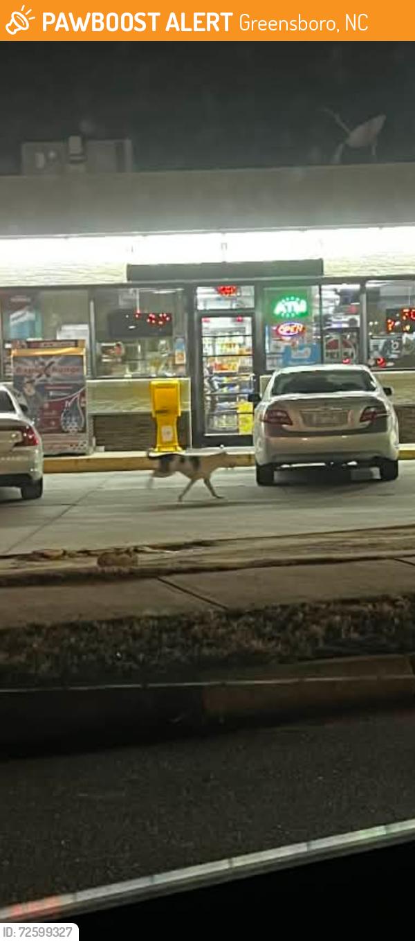 Found/Stray Unknown Dog last seen West gate city blvd., Greensboro, NC 27407