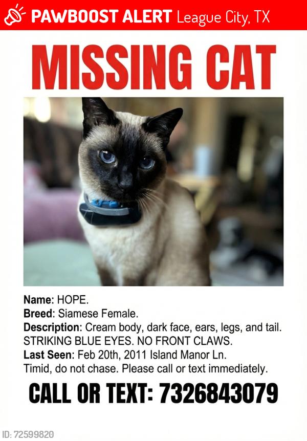 Lost Female Cat last seen Cottage bay, League City, TX 77573