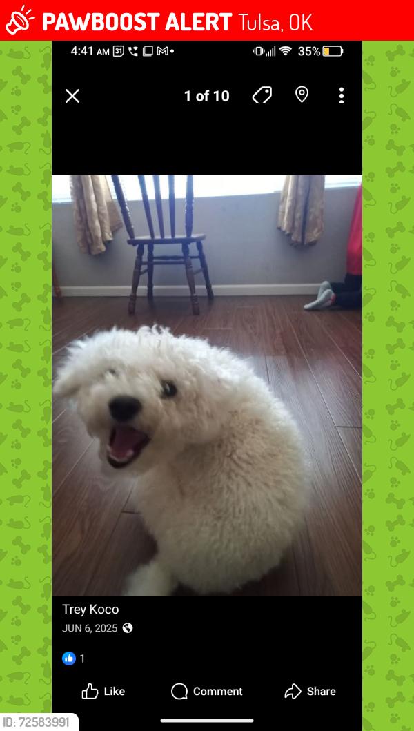 Lost Male Dog last seen South jackson Ava River West Apt, Tulsa, OK 74107