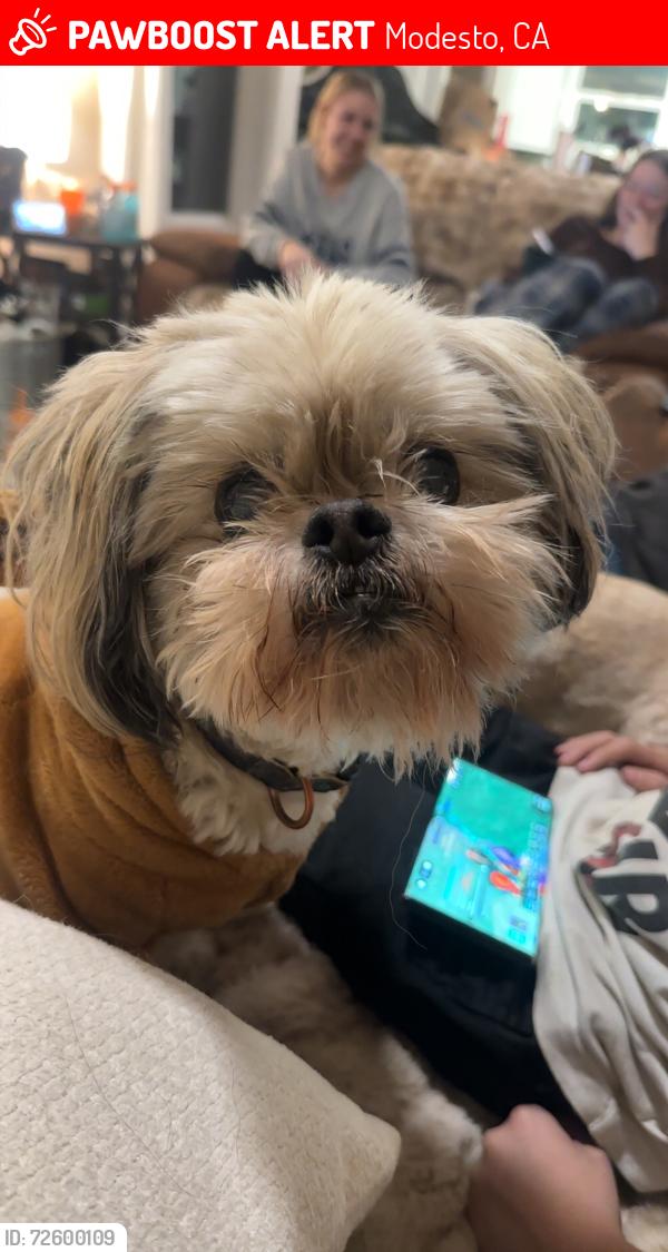 Lost Male Dog last seen Johnson , Modesto, CA 95354