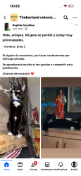 Lost Male Cat last seen Vale ln , Porter, TX 77365