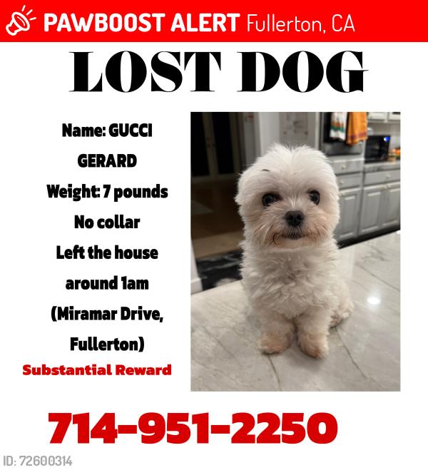 Lost Female Dog last seen Miramar Drive, Fullerton, CA 92831