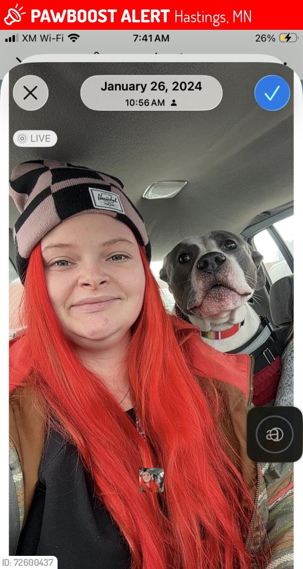 Lost Male Dog last seen Unknown address, Hastings, MN 55033