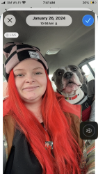 Lost Male Dog last seen Unknown address, Hastings, MN 55033