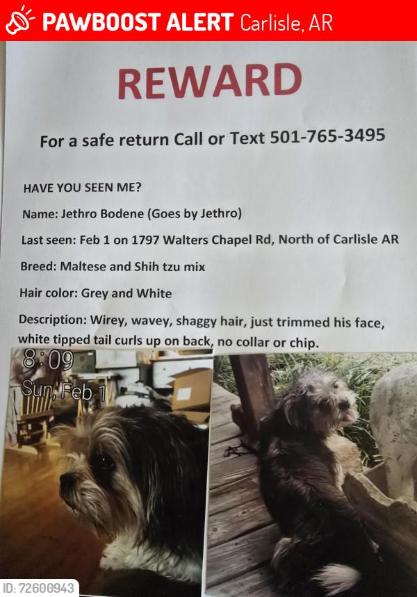 Lost Male Dog last seen 10 miles North of Carlisle on Walters Chaoel Rd, Carlisle, AR 72024