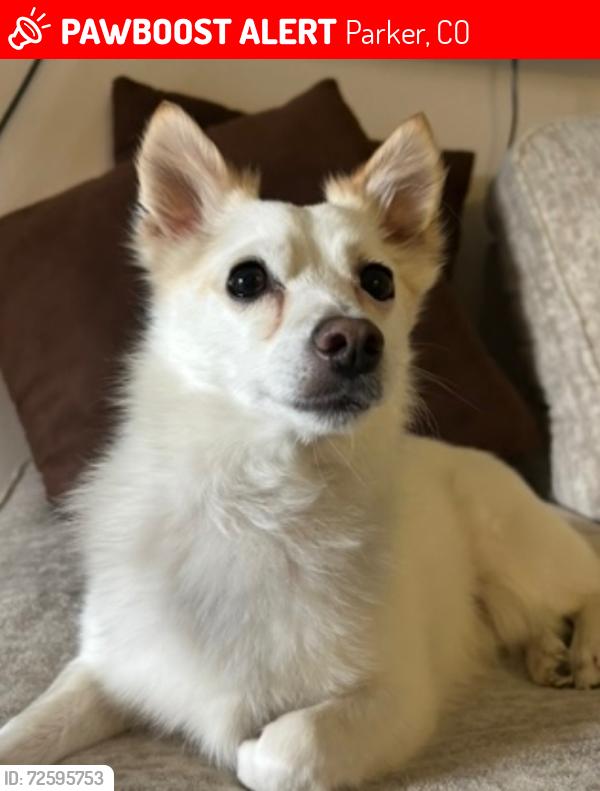 Lost Male Dog last seen Independence, Elizabeth CO, Parker, CO 80134