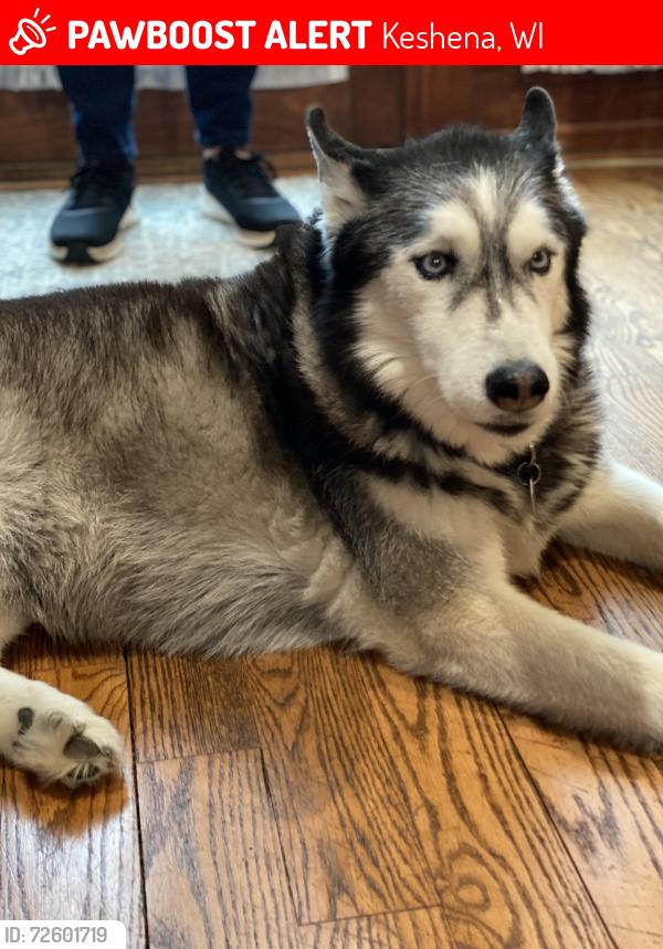 Lost Female Dog last seen Deerpath lane. Legend Lake area, Keshena, WI 54135