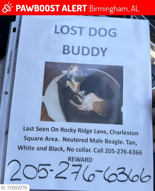 Lost Male Dog last seen Running from the social security office up the words towards Grave church, Birmingham, AL 35216