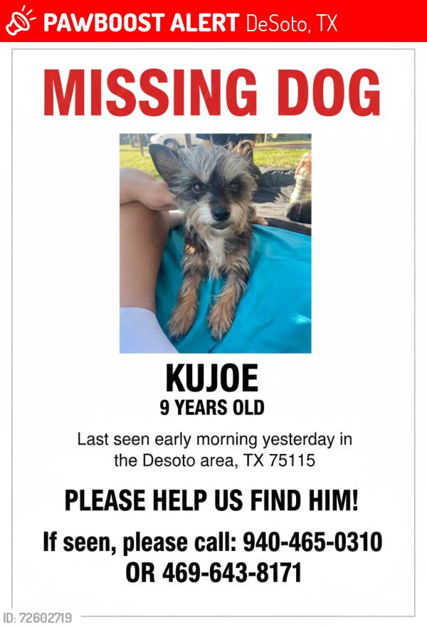 Lost Male Dog last seen Wintergreen and pleasant run, DeSoto, TX 75115