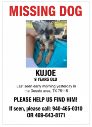 Lost Male Dog last seen Wintergreen and pleasant run, DeSoto, TX 75115