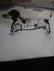 Lost Male Dog last seen La Conner Whitney rd, Skagit County, WA 98273
