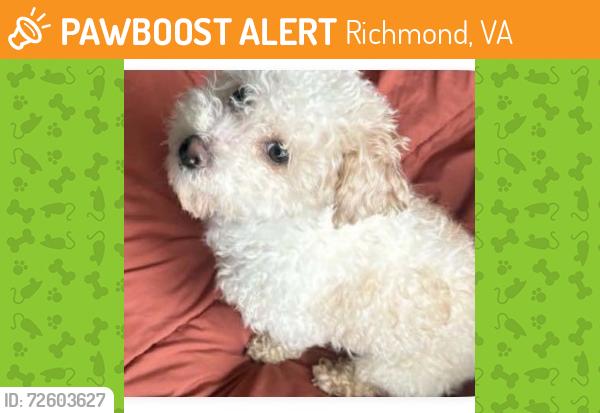 Found/Stray Male Dog last seen James River, Hull Street and Cowardin, Richmond, VA 23224
