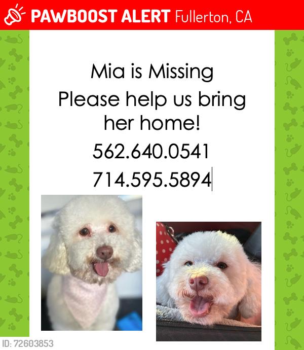Lost Female Dog last seen Hill/Basque, Fullerton, CA 92833