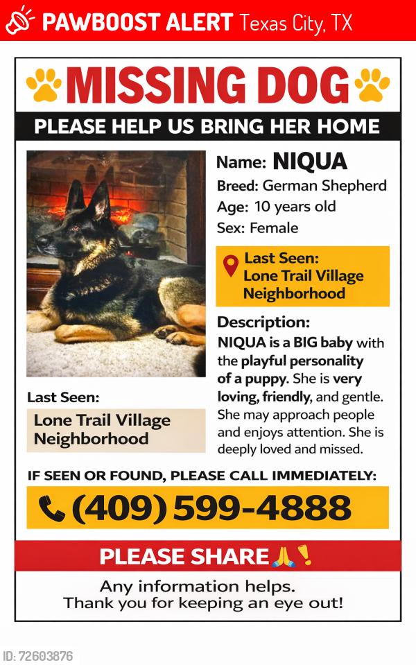 Lost Female Dog last seen Mall of the Mainland and Century Blvd., Texas City, TX 77591
