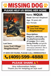 Lost Female Dog last seen Mall of the Mainland and Century Blvd., Texas City, TX 77591