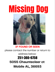 Lost Female Dog last seen Chauntecleer Court - Canterbury Heights, Mobile, AL 36693