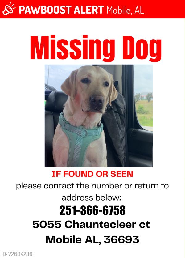 Lost Female Dog last seen Chauntecleer Court - Canterbury Heights, Mobile, AL 36693